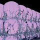 Image: ETH Zurich / Julian Léonard